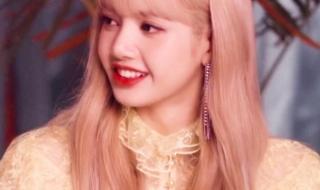 法国人对疯马秀的看法 法国疯马秀歌舞表演