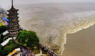 杭州市滨江区最佳观潮地方 钱塘江观潮最佳地点