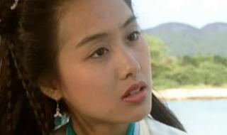 新射雕英雄传珍兽攻略 新射雕英雄传全集