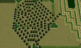 遗失的记忆迷宫 遗失的记忆迷宫