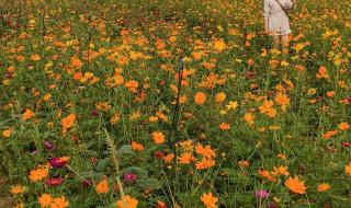 深圳凤凰山好玩吗 深圳凤凰山好玩吗