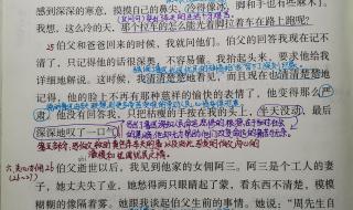 少年闰土课堂笔记