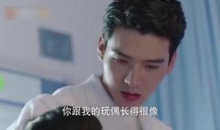 从结婚开始恋爱鹿呦呦