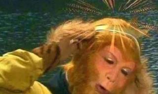 我和孙悟空过一天