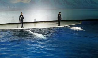 上海长风海洋世界位于哪里外地车可以开进去吗 长风海洋世界好玩吗